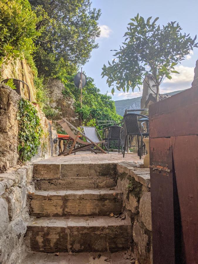 Best View! Rooftop With Garden - Old Town Nr404 Kotor Exteriér fotografie