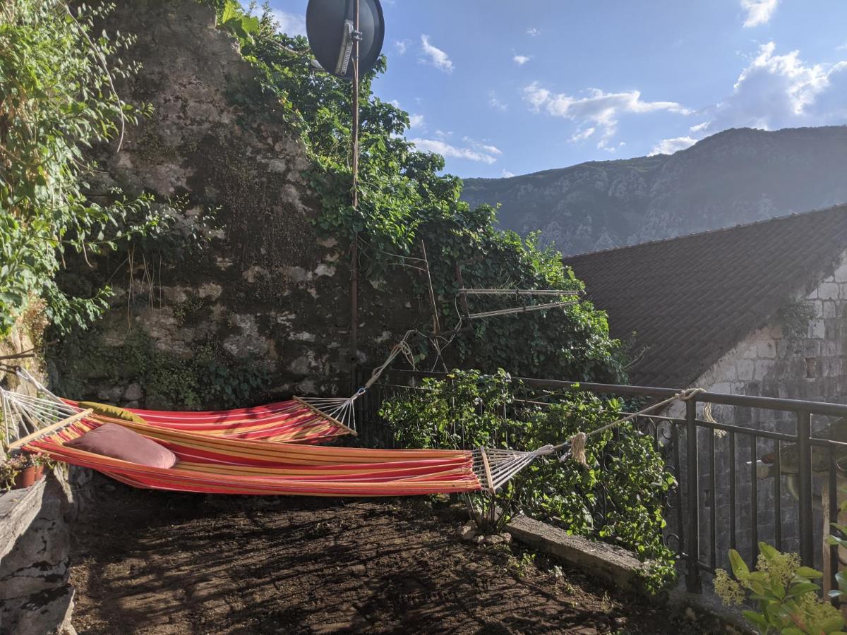 Best View! Rooftop With Garden - Old Town Nr404 Kotor Exteriér fotografie